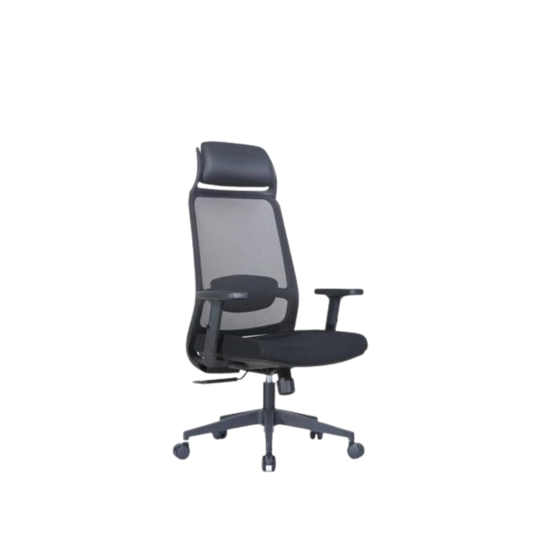 Executive Orion Chairs